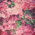 LWOTB_LiterallyCrazyForYou LWOTB_LiterallyCrazyForYou